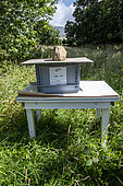 Asian predatory hornet control: preventive and autonomous capture tank. The first selective device for capturing Asian hornets and preventing nests in Europe. Produced by Jabeprode in Finistère. France