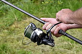 Carp fishing, Fishing reel, Malsaucy pond in Belfort, France