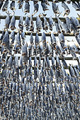 Cod dryer, Lofoten, Norway