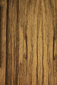 Longitudinal section of Limba (Terminalia superba), Ivory Coast