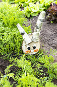 Decorative birch wood rabbit in a vegetable garden in spring, Pas de Calais, France