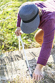 Woman taking measurements in a garden.
