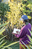 Woman taking notes and making a plan in a small garden.