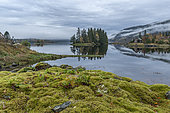 Small island with trees surrounded by autumn colors in the fjord sea. Trondheimsfjord, Norway, Atlantic Ocean