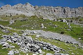 Pastoral hut of Ardinet at the entrance of the Azun valley, under the Orgues de Camplong, Pyrénées-Atlantiques, France