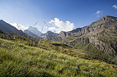 Le mont Viso depuis la Réserve naturelle du Viso, Parc naturel régional du Queyras, Alpes, France