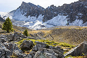 Parc naturel régional du Queyras en automne, Alpes, France