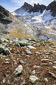 Parc naturel régional du Queyras en automne, Alpes, France