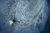 Columnar basalt. Volcanic underwater, Tenerife. The image shows a collapse of basaltic colonnades (Columnar jointing). Canary Islands.