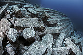 Columnar basalt. Volcanic underwater, Tenerife. The image shows a collapse of basaltic colonnades (Columnar jointing). Canary Islands.
