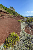 Permian pelites in the Daluis Gorges, Alpes Maritimes, France. Permian pelites aged 250 Ma: clays of volcanic and detrital origin were oxidised under a tropical climate and slowly transformed into rocks, over a thickness of 1000 metres. Daluis Gorges, Dôme du Barrot