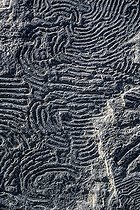Helminthoid flysch in Haute Ubaye. Helminthoid flysch is a turbidity that dates from the Upper Cretaceous, and shows sinuous traces associated with the movements of gastropods, which grazed the mud of the sea floor creating sinuous grooves. Haute Ubaye, Alpes de Haute-Provence, France