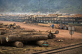 Exploitation of wood (Moabi, kevazingo, ebony,…). Storage and transportation of logs from their origin to Lastoursville in trucks to then continue on the Transgabonés railway company to Libreville. Gabon.