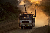 Exploitation of wood (Moabi, kevazingo, ebony,…). Storage and transportation of logs from their origin to Lastoursville in trucks to then continue on the Transgabonés railway company to Libreville. Gabon.