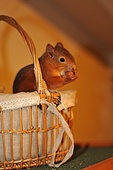 Red squirrel (Sciurus vulgaris) eating a nut in a basket