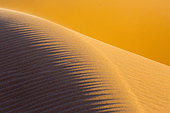 Sand dune, Merzouga, Morocco, Sahara desert