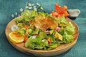 Salade composée : Citron, Salade verte, Avocat, Radis, Poivron, graines de Coriandre, Aloès vera, Pâquerette (fleur comestible), épice - Alimentation saine