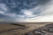 Woman walking her dog on the beach at Sangatte during a storm, Opal Coast, France