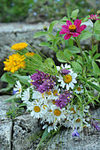 Bunch of garden flowers on a stone Daisies (Leucanthemum vulgare), ears of barley