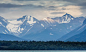 Stunning views from the sea to the mountains and forests in the fjords of Alaska. Alaska. USA.