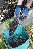 Using compost in the garden, spring, Pas de Calais, France