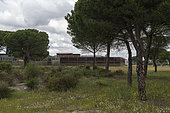 The enclosures of Centro de Cría del Lince Ibérico El Acebuche, Donana National Park, Andalusia, Spain.