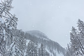 Snow in the Ubaye valley, Alpes de Haute Provence, France