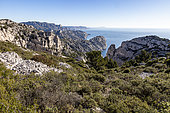 Sormiou, Morgiou, Bec de l'Aigle and Cap Sicié (in the background), Calanques National Park, Bouches-du-Rhône, France
