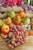 Autumn fruits: pears, grapes, walnuts, hazelnuts, gooseberries, apples, seasonal treasures at the end of summer and beginning of autumn