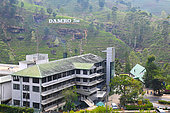 Tea plantation and factory of the company Damro Tea on the mountains around the city of Nuwara Aliya. Nuwara Eliya. Sri Lanka.