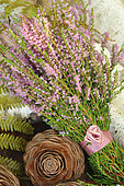 Bouquet of Heather (Calluna vulgaris) and Cedar (Cedrus sp) cone