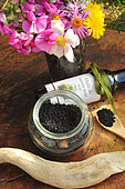 Fennel flower (Nigella sativa) seeds and oil, medicinal properties, spice