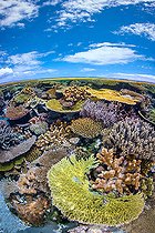 North Reef, Half air half water view of the North Reef of Mayotte
