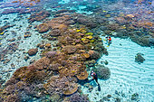 Large low tide on the pools of the North reef. Mayotte