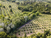 Landscapes of the Alpilles Regional Nature Park, Provence, France