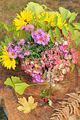 Autumn bouquet, Autumn aster (Aster sp), Hydrangea (Hydrangea sp), Perennial sunflower (Helianthus multiflorus), Sweet pea (Lathyrus odoratus)