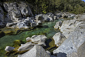 The Gardon de Mialet in the Cévennes. Wild river with clear waters - its bed is made up of granites with feldspar crystals in the shape of a horse's tooth (315 Ma) - downstream from the Abarines bridge, Cévennes, France