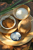 Coconut blossom sugar and shredded coconut, coconut oil and coconut, fruits of the Coconut palm (Cocos nucifera)