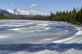 Chitina River in spring, Wrangell-St. Elias National Park, Alaska, USA