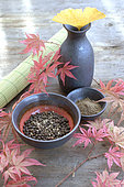 Black pepper grains and powder, Japanese Maple branches and Ginkgo leaves