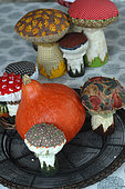 Table decoration on the theme of autumn: Pumpkin (Cucurbita pepo) and mushrooms in fabric