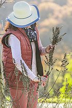 Woman pruning a Lilac chastetree (Vitex agnus-castus) in winter