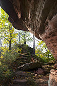 Hohenfels Castle, ruined medieval castle on a rocky outcrop, Vosges du Nord Regional Nature Park, France