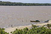 Fisherman cleaning nets at river's edge, Parnaiba delta, Maranhao, Brazil