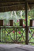 Regional beehives for stingless bees along the Indio River. Nicaragua, San Juan de Nicaragua.