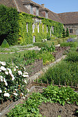 Vegetable plant and flowers in raised plessis squares, Medieval Garden of Bois Richeux, Eure et Loir, France