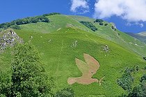 Plant motif: dove of peace with its olive branch on the slope of Poey (652m), Accous, Aspe Valley, Pyrénées Atlantiques, France
