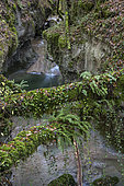 The Vezeronce, wild river of the Ain. River labelled "wild river" for its landscape and naturalist qualities, and its lack of development. Surjoux, in the Ain, France