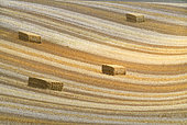 Traces of combine harvester after wheat harvest in the fields in summer, Lorraine Regional Nature Park, France