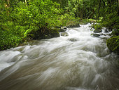 Cool forest river flowing rapidly over submerged rocks. Karkloof, Howick, KwaZulu Natal Midlands. South Africa